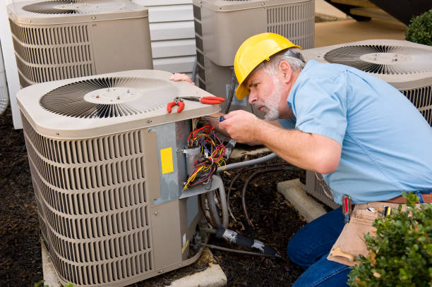 Best HVAC air duct cleaning  in Roanoke Rapids, NC